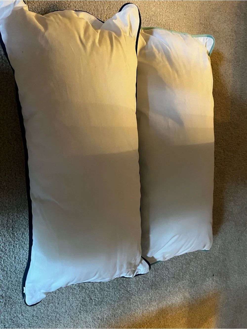 Pottery barn Teen Decorative Pillows